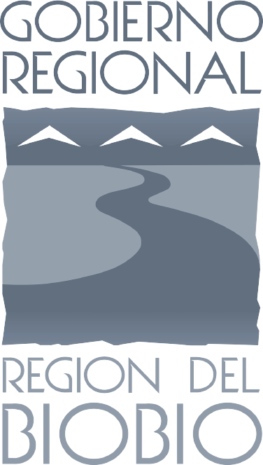 Logo de Gobierno Regional del Bío-Bío